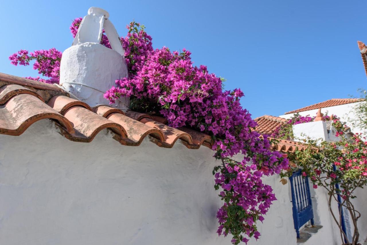 Villea Seaview Apartments Skopelos Exterior foto